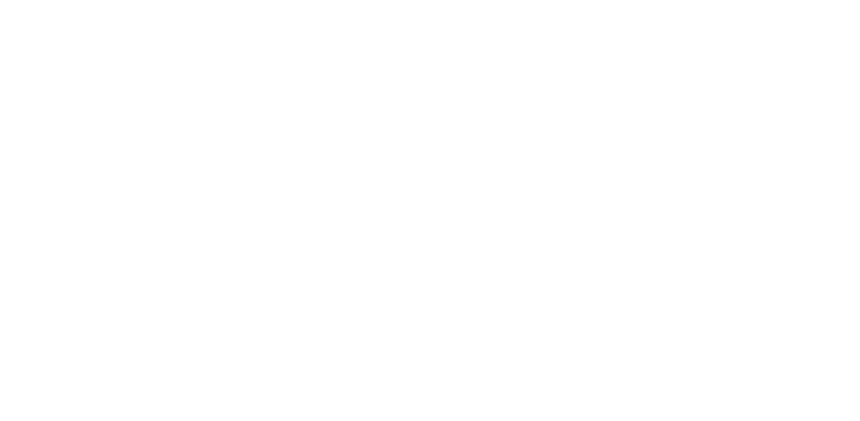 9a Sección